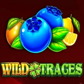 Wild Traces online slot from Amusnet Interactive – play at hugobetscasino.eu.com